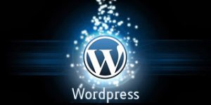 crear tema wordpress
