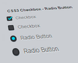 Opresor Picasso cómo Estilizando Checkbox y Radiobutton con CSS3 (sin Javascript)