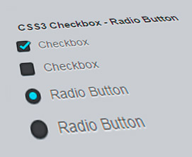 estilizar checkbox y radiobutton con css3